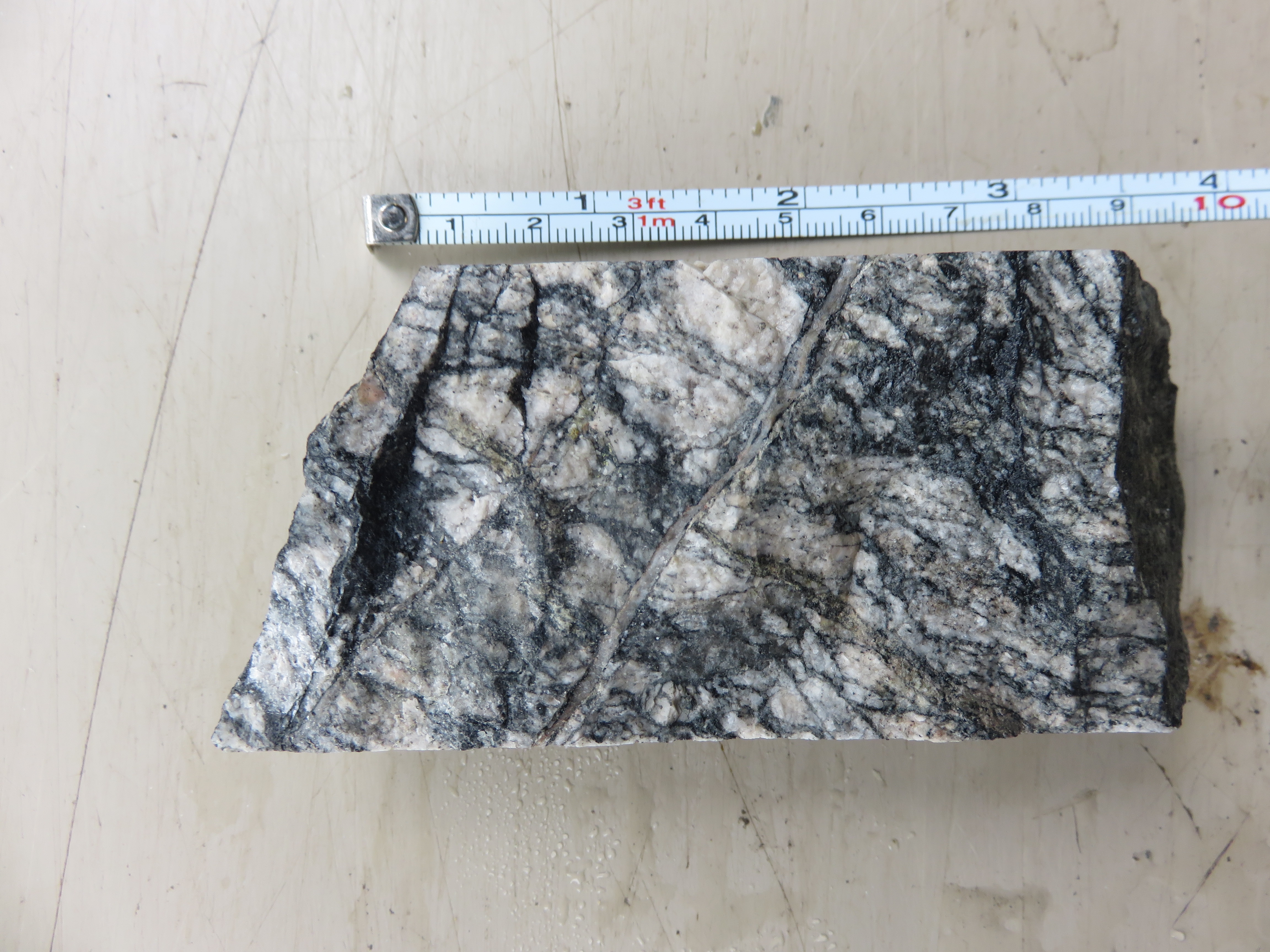 Uranium mineralized drill core, Coles Hill deposit, Virginia